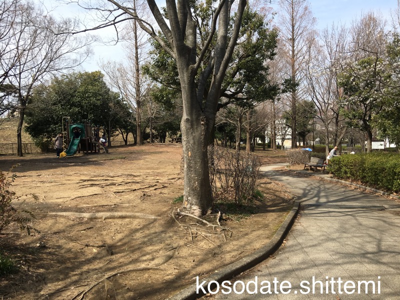 赤田日公園の複合遊具