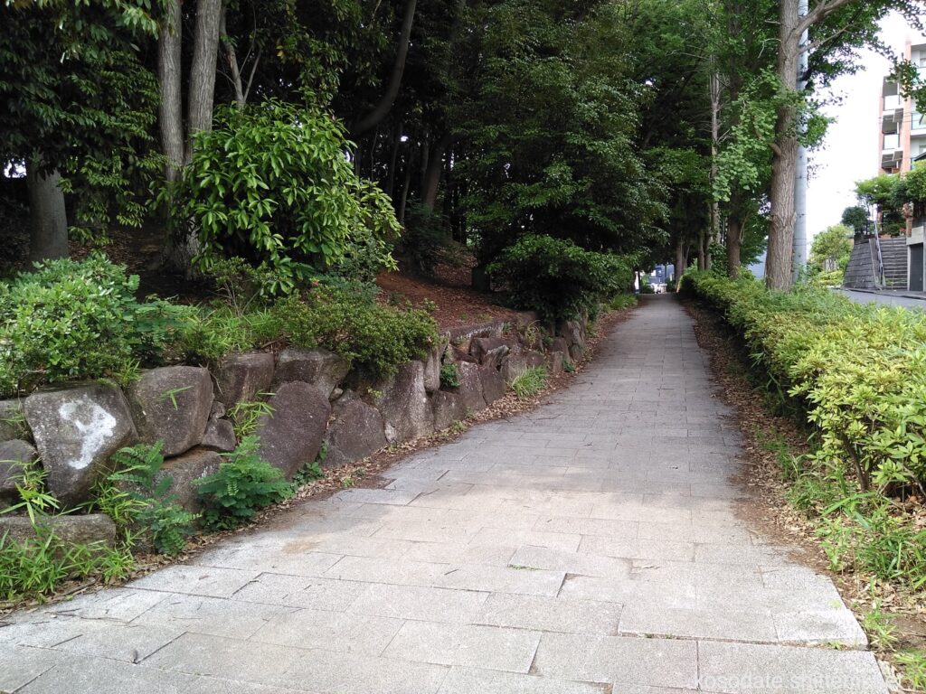 泉天ヶ谷公園　歩道