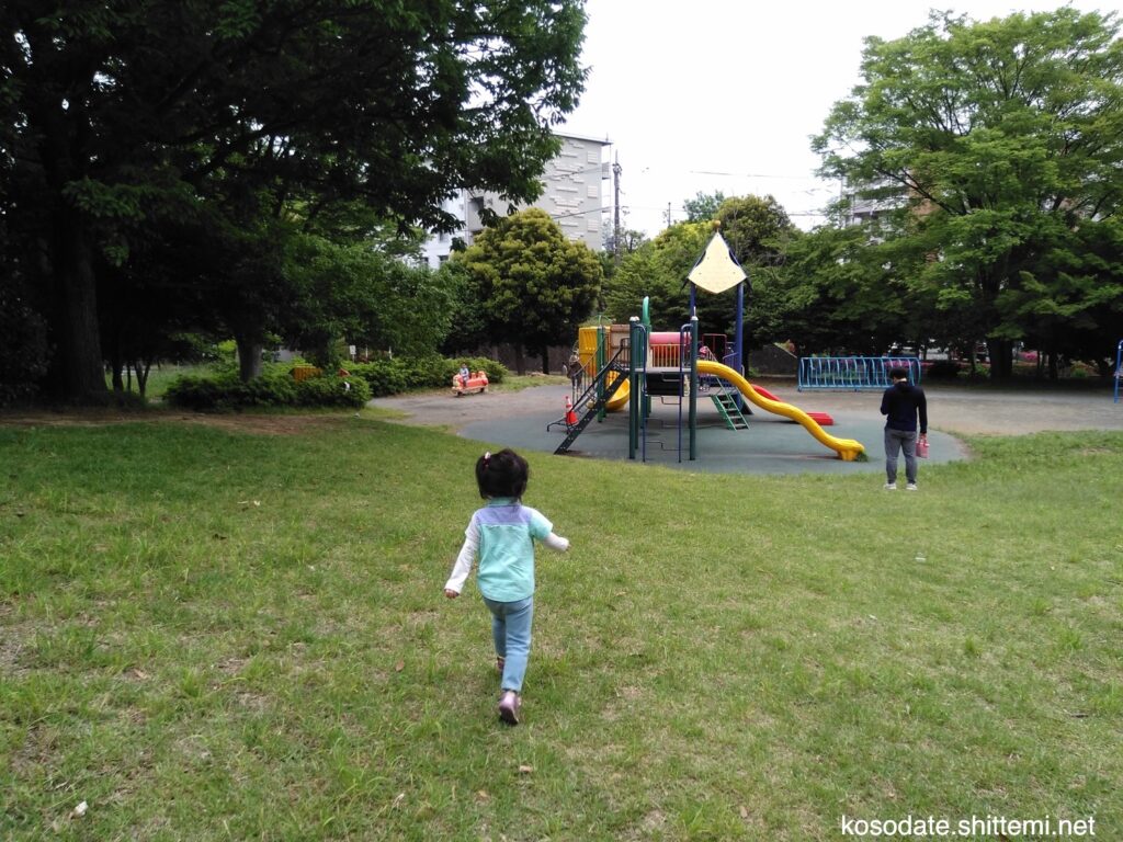 虹ヶ丘公園の芝生と複合遊具