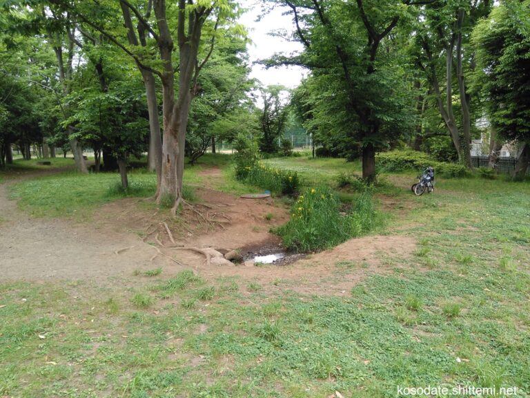 あさおふれあいの、広場・遊歩道・丘 子育て 知ってみ!! あさおふれあいの、広場・遊歩道・丘 子育て 知ってみ!!