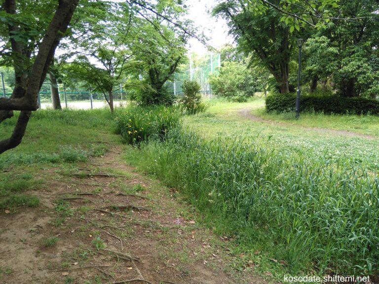 あさおふれあいの、広場・遊歩道・丘 子育て 知ってみ!! あさおふれあいの、広場・遊歩道・丘 子育て 知ってみ!!