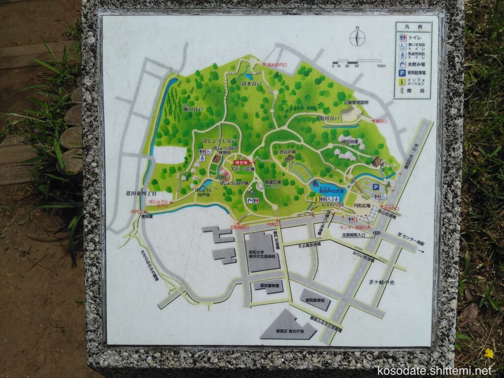 都筑中央公園 マップ