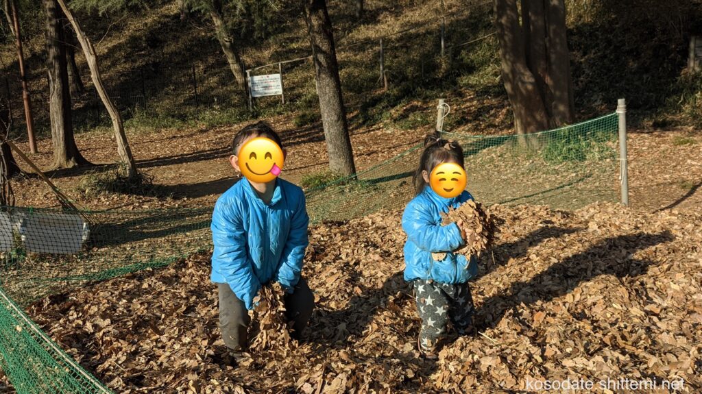 宮崎第4公園　落ち葉のプール