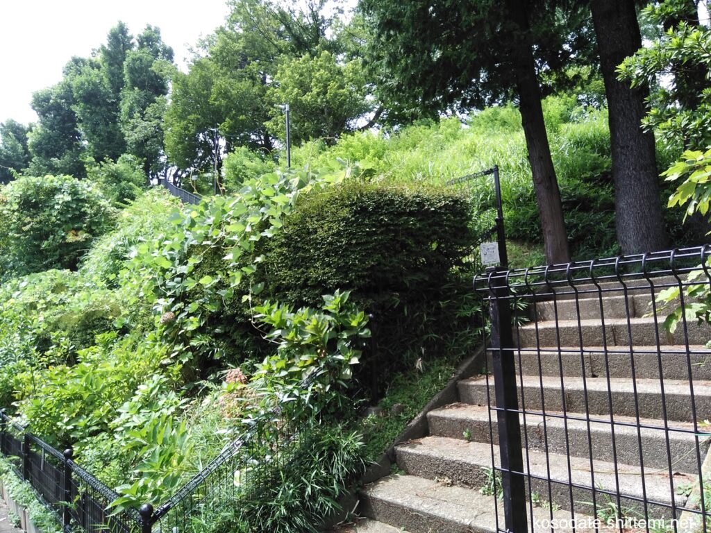 鷺沼北公園　裏側の長い階段