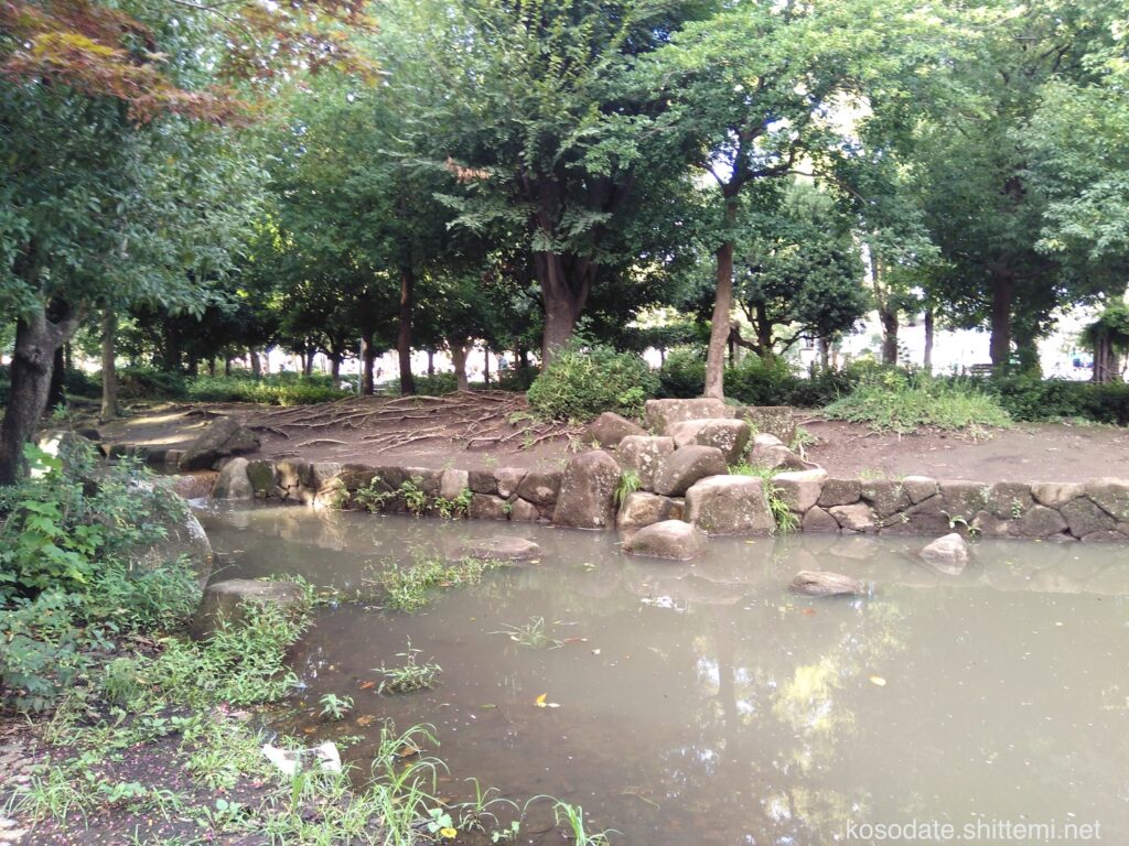 橘公園　水と緑の広場　池