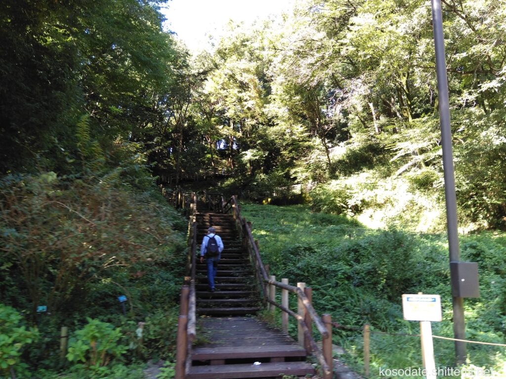 県立東高根森林公園