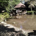 県立東高根森林公園 けやき広場の池
