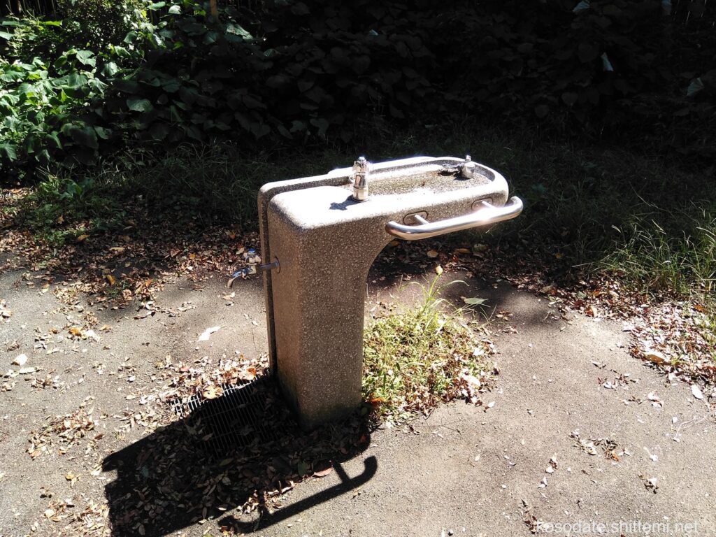 県立東高根森林公園 子ども広場 手洗い場