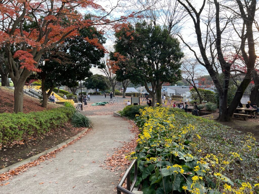 美しが丘第7公園 遊歩道